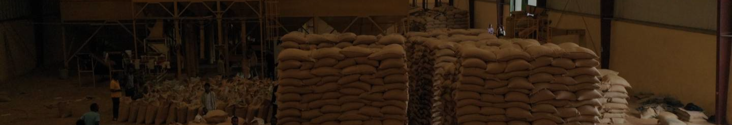 Kality Coffee Export Warehouse Banner Image